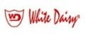 WHİTE DAİSY