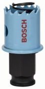 BOSCH SHEET METAL PANÇ 25 MM