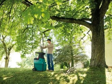 Bosch AXT 25 D Dal Öğütme Makinesi