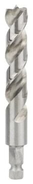 Bosch Ahşap Matkap Ucu 10*133 mm 1/4 Hex Şaft
