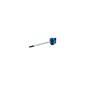 BOSCH TORX TORNAVİDA TX10X75